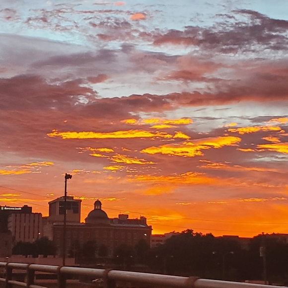 Meet your Posher, Elena - Picture 12 of 14